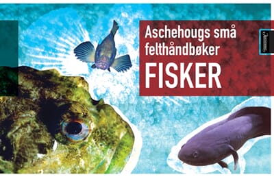 Aschehougs felthåndbok, fisker